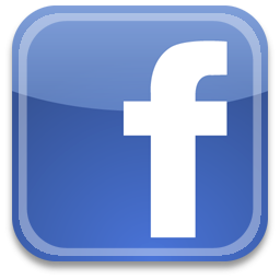 Carnet du web : page fan facebook